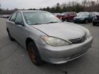 TOYOTA - CAMRY