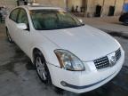NISSAN - MAXIMA