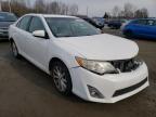 TOYOTA - CAMRY