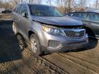 KIA - SORENTO