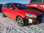 FORD - FOCUS
