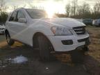 MERCEDES-BENZ - M-CLASS