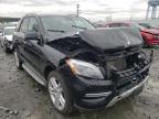 MERCEDES-BENZ - M-CLASS