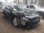 NISSAN - MAXIMA