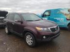 KIA - SORENTO