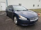 NISSAN - MAXIMA