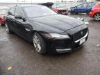 JAGUAR - XF