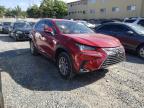 LEXUS - NX