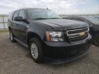 CHEVROLET - TAHOE