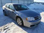 DODGE - AVENGER