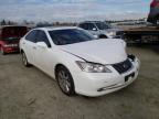 LEXUS - ES350