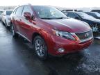 LEXUS - RX450