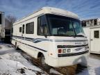 usados WINNEBAGO MOTORHOME