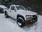 CHEVROLET - COLORADO