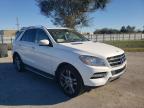 MERCEDES-BENZ - M-CLASS