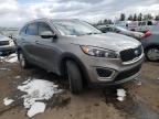 KIA - SORENTO