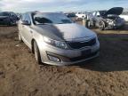 KIA - OPTIMA