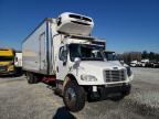 FREIGHTLINER - M2 106 MEDIUM