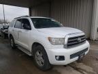 TOYOTA - SEQUOIA