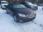 LEXUS - ES350