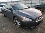 NISSAN - MAXIMA