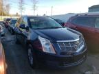 CADILLAC - SRX