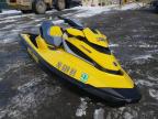 SEADOO - RXT