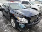 NISSAN - MAXIMA
