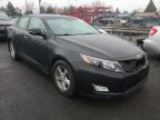 KIA - OPTIMA