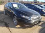 KIA - OPTIMA