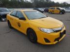 TOYOTA - CAMRY