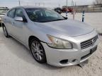 NISSAN - MAXIMA
