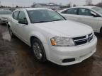 DODGE - AVENGER