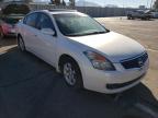NISSAN - ALTIMA