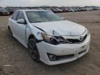 TOYOTA - CAMRY
