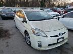 TOYOTA - PRIUS