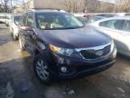 KIA - SORENTO