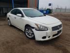 NISSAN - MAXIMA