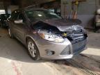 FORD - FOCUS