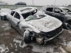 NISSAN - MAXIMA