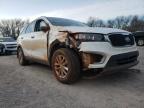 KIA - SORENTO