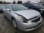 NISSAN - ALTIMA