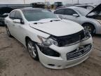 NISSAN - MAXIMA