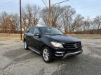 MERCEDES-BENZ - M-CLASS