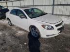 CHEVROLET - MALIBU