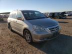 HONDA - ODYSSEY