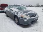 TOYOTA - CAMRY