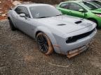 DODGE - CHALLENGER