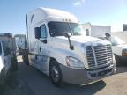 FREIGHTLINER - CASCADIA 1