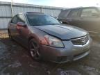 NISSAN - MAXIMA